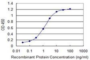 Detection limit for recombinant GST tagged PDCL3 is 0. (PDCL3 antibody  (AA 1-239))