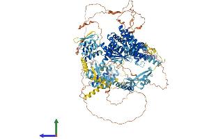 Protein Structure (PS) image for SIN3 homolog A, transcription regulator (SIN3A) (AA 1-1274) protein (His tag) (ABIN7563862)