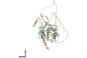 Protein Structure (PS) image for B-Cell CLL/lymphoma 6, Member B (BCL6B) (AA 1-474) protein (His tag) (ABIN7562589)