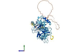 AlphaFold protein structure predicition of Mouse Recombinant Prkn Protein, UniprotID Q9WVS6 (Parkin Protein (AA 1-464) (His tag))