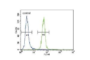Flow cytometric analysis of Hela cells (right histogram) compared to a negative control cell (left histogram). (FYN antibody  (N-Term))