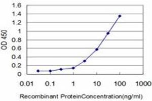 Detection limit for recombinant GST tagged IFI16 is approximately 0. (IFI16 antibody  (AA 630-729))