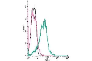 anti-Solute Carrier Family 9, Subfamily A (NHE1, Cation Proton Antiporter 1), Member 1 (SLC9A1) (AA 54-67), (Extracellular) antibody