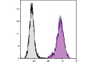 Mouse Mφ cells were stained with Rat  Anti-Mouse CD107b-APC. (LAMP2 antibody  (FITC))