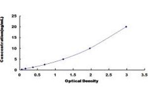 ABCC6 ELISA Kit