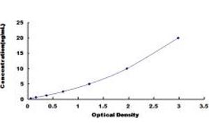 Typical standard curve (ABCC6 ELISA Kit)