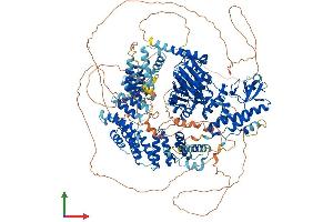 Protein Structure (PS) image for Lysine (K)-Specific Demethylase 6A (KDM6A) (AA 1-1401) protein (His tag) (ABIN7554329)