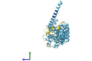 AlphaFold protein structure predicition of Mouse Recombinant Psmd13 Protein, UniprotID Q9WVJ2 (PSMD13 Protein (AA 1-376) (His tag))