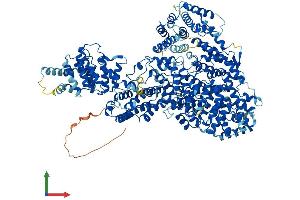 AlphaFold protein structure predicition of Mouse Recombinant Med23 Protein, UniprotID Q80YQ2 (MED23 Protein (AA 1-1367) (His tag))