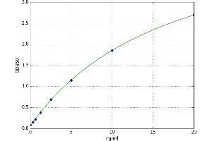 A typical standard curve