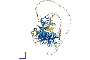 AlphaFold protein structure predicition of Human Recombinant MAP4K5 Protein, UniprotID Q9Y4K4 (MAP4K5 Protein (AA 1-846) (His tag))