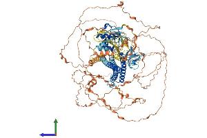AlphaFold protein structure predicition of Mouse Recombinant Micall2 Protein, UniprotID Q3TN34 (MICALL2 Protein (AA 1-1009) (His tag))