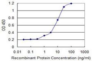 Detection limit for recombinant GST tagged RARRES1 is 0. (RARRES1 antibody  (AA 205-294))