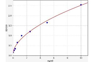 Typical standard curve (LATS2 ELISA Kit)