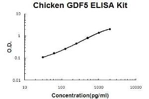 Chicken GDF5 PicoKine ELISA Kit standard curve