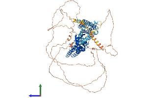 AlphaFold protein structure predicition of Mouse Recombinant Kcnb1 Protein, UniprotID Q03717 (Kv2.1/KCNB1 Protein (AA 1-857) (His tag))