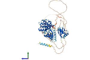 AlphaFold protein structure predicition of Human Recombinant MAP3K2 Protein, UniprotID Q9Y2U5 (MAP3K2 Protein (AA 1-619) (His tag))