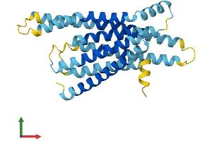 Protein Structure (PS) image for Taste Receptor, Type 2, Member 16 (TAS2R16) (AA 1-291) protein (His tag) (ABIN7544101)