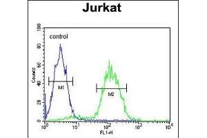 CD34 Antibody (Center) (ABIN654623 and ABIN2844320) flow cytometric analysis of Jurkat cells (right histogram) compared to a negative control cell (left histogram). (CD34 antibody  (AA 185-212))