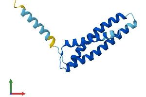 AlphaFold protein structure predicition of Mouse Recombinant Tmem170b Protein, UniprotID P86050 (TMEM170B Protein (AA 1-132) (His tag))
