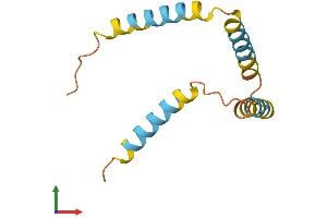 AlphaFold protein structure predicition of Human Recombinant TMEM14C Protein, UniprotID Q9P0S9 (Transmembrane Protein 14C (TMEM14C) (AA 1-112) protein (His tag))