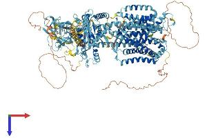 AlphaFold protein structure predicition of Mouse Recombinant Disp3 Protein, UniprotID A3KFU9 (PTCHD2 Protein (AA 1-1347) (His tag))