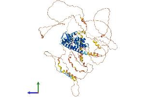 AlphaFold protein structure predicition of Human Recombinant RUSC1 Protein, UniprotID Q9BVN2