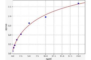 IFNGR2 ELISA Kit