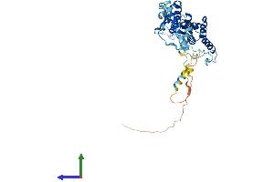 AlphaFold protein structure predicition of Mouse Recombinant Krr1 Protein, UniprotID Q8BGA5 (KRR1 Protein (AA 1-380) (His tag))