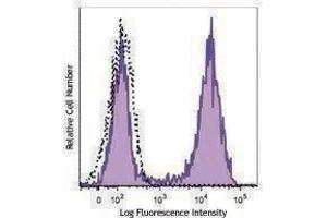 Flow Cytometry (FACS) image for anti-CD177 Molecule (CD177) antibody (PE) (ABIN2662480) (CD177 antibody  (PE))