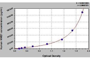 Typical Standard Curve (NME1 ELISA Kit)