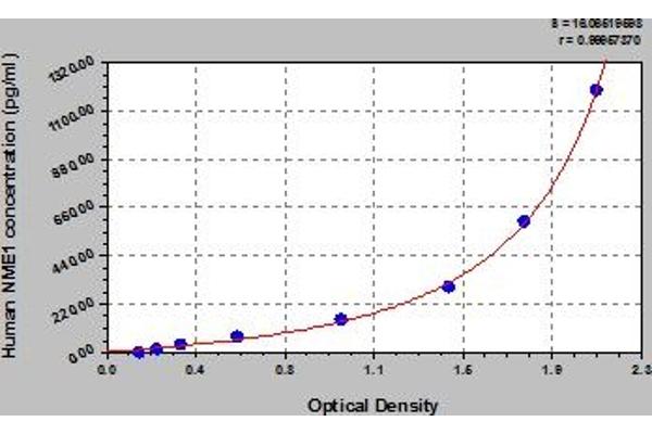 NME1 ELISA Kit