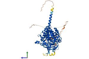 AlphaFold protein structure predicition of Human Recombinant MTMR1 Protein, UniprotID Q13613