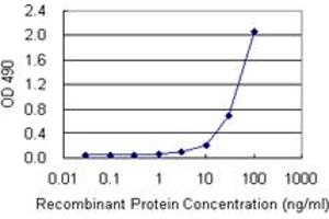 Sandwich ELISA detection sensitivity ranging from 3 ng/mL to 100 ng/mL. (HMGB1 (Human) Matched Antibody Pair)