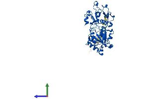 Protein Structure (PS) image for Fucosyltransferase 7 (Alpha (1,3) Fucosyltransferase) (FUT7) (AA 1-342) protein (His tag) (ABIN7547899)