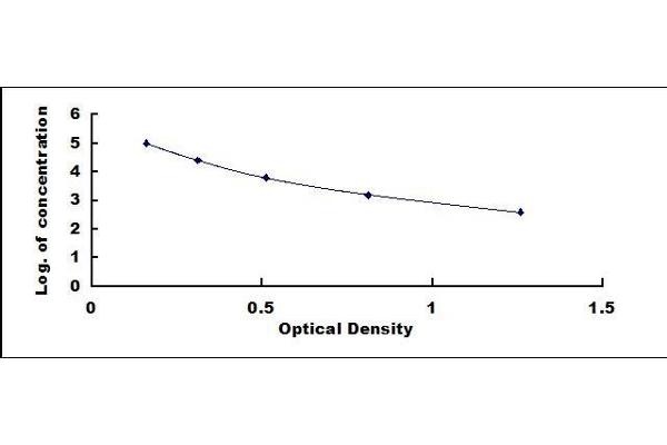 Dystroglycan ELISA Kit