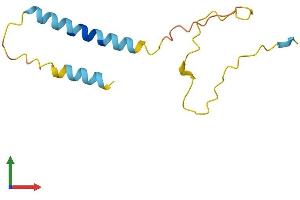 AlphaFold protein structure predicition of Human Recombinant PDZK1IP1 Protein, UniprotID Q13113 (PDZK1 Interacting Protein 1 (PDZK1IP1) (AA 1-114) protein (His tag))