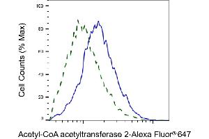 Validation of Acetyl-CoA acetyltransferase 2 knockdown using flow cytometry. (Recombinant ACAT2 antibody)