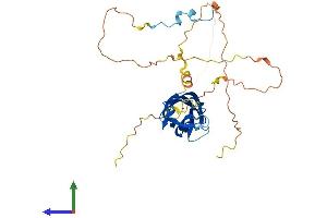 AlphaFold protein structure predicition of Mouse Recombinant C2cd4d Protein, UniprotID P0CG09 (C2cd4d Protein (AA 1-341) (His tag))