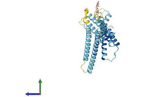 AlphaFold protein structure predicition of Human Recombinant GPBAR1 Protein, UniprotID Q8TDU6 (GPBAR1 Protein (AA 1-330) (His tag))
