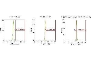 Flow Cytometry (FACS) image for anti-Chemokine (C-C Motif) Ligand 22 (CCL22) (AA 25-93) antibody (PE) (ABIN5566347) (CCL22 antibody  (AA 25-93) (PE))