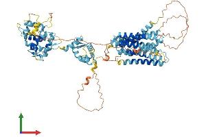 AlphaFold protein structure predicition of Mouse Recombinant Slc39a12 Protein, UniprotID Q5FWH7