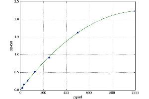 Chemokine (C-C Motif) Ligand 13 (CCL13) ELISA Kit