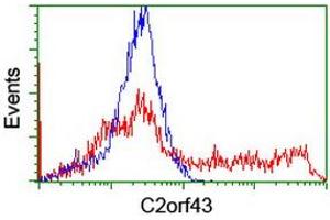 HEK293T cells transfected with either RC203367 overexpress plasmid (Red) or empty vector control plasmid (Blue) were immunostained by anti-C2orf43 antibody (ABIN2455844), and then analyzed by flow cytometry. (LDAH/C2orf43 antibody)