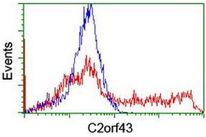 HEK293T cells transfected with either RC203367 overexpress plasmid (Red) or empty vector control plasmid (Blue) were immunostained by anti-C2orf43 antibody (ABIN2455844), and then analyzed by flow cytometry.
