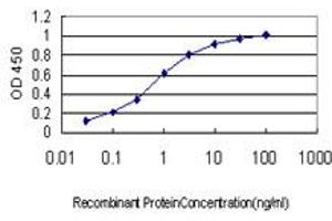 Detection limit for recombinant GST tagged RAD54B is approximately 0. (RAD54B antibody  (AA 801-910))