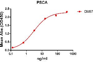 ELISA plate pre-coated by 2 μg/mL (100 μL/well) Human PSCA protein, hFc tagged protein ((ABIN6961137, ABIN7042303 and ABIN7042304)) can bind Rabbit anti-PSCA monoclonal antibody(clone: DM87) in a linear range of 1-100 ng/mL.
