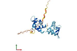 AlphaFold protein structure predicition of Human Recombinant CALML4 Protein, UniprotID Q96GE6