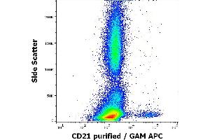 Flow cytometry surface staining pattern of human peripheral whole blood stained using anti-human CD21 (LT21) purified antibody (concentration in sample 1 μg/mL) GAM APC. (CD21 antibody)