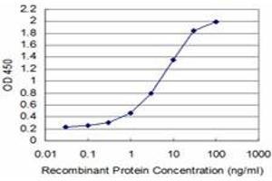Detection limit for recombinant GST tagged TBX6 is approximately 0. (T-Box 6 antibody  (AA 191-299))